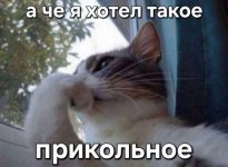 5df875a4203645a22c370d088bdebce0.jpg