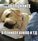 1779657978357.png
